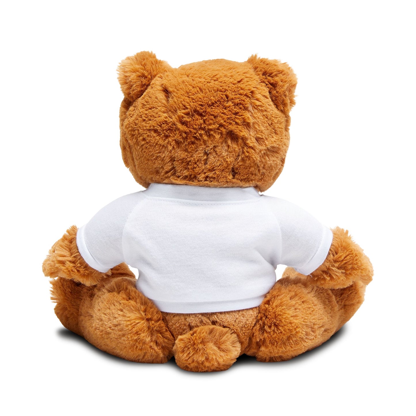 bnwo Teddy Bear with T-Shirt